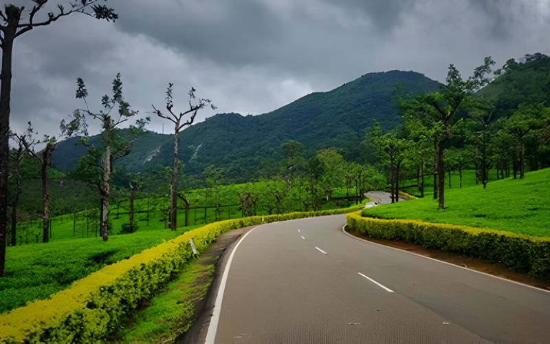 A Journey of Culture & Calm